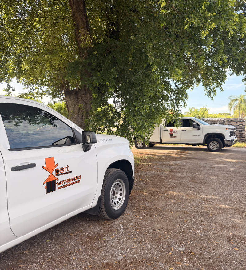 Xpert Elevator Service vehicles parked under a tree, showcasing their elevator maintenance services.
